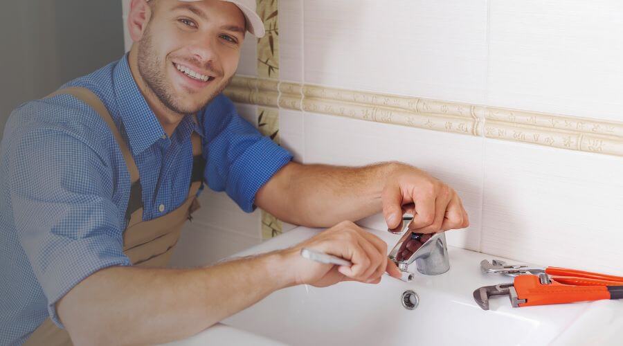 Professional Leak Detection Services services in Vernon Center, MN